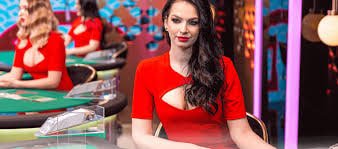 766 bet com